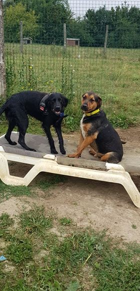 Olya et Onyx